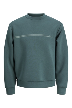 jack&jones 12289830 Groen