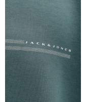 jack&jones 12289830 Groen