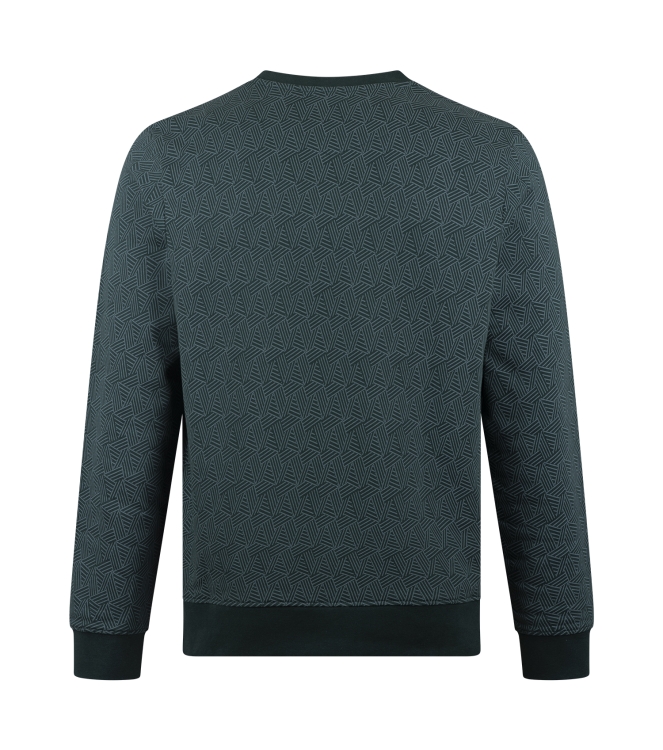 Stonecast Borjan men W20489 Groen donker