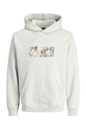 jack&jones 12282839 Grijs licht