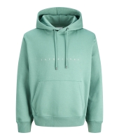 jack&jones 12233972 Groen licht