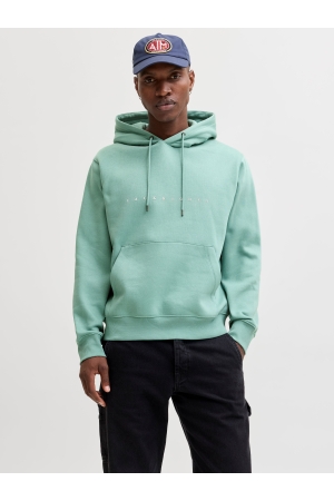 jack&jones 12233972 Groen licht
