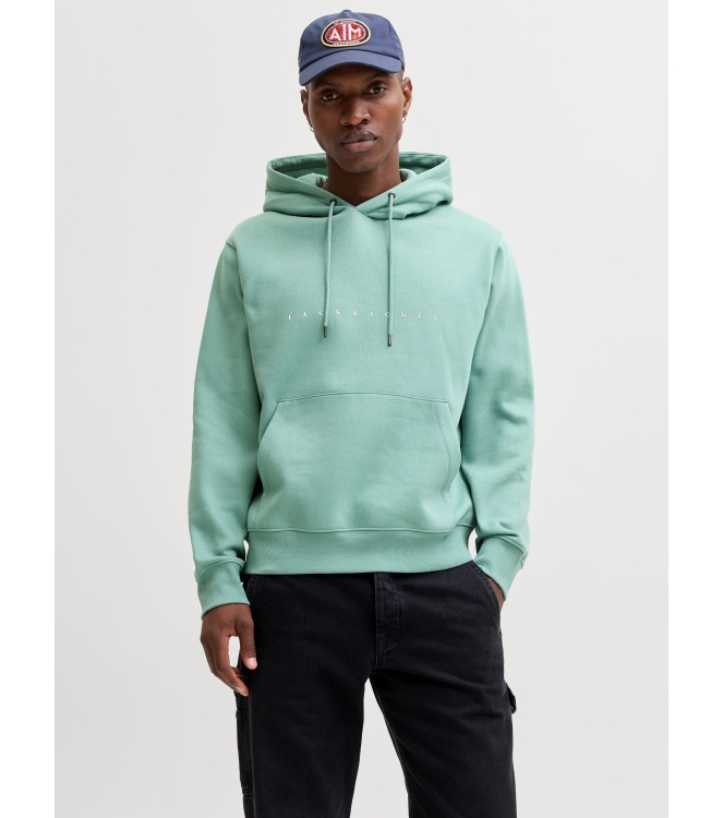 jack&jones 12233972 Groen licht