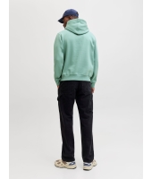 jack&jones 12233972 Groen licht