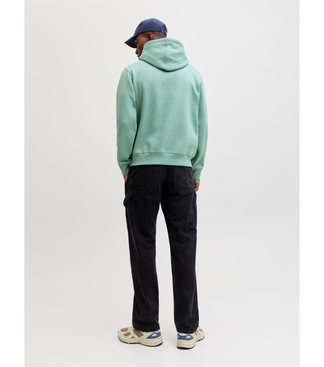jack&jones 12233972 Groen licht