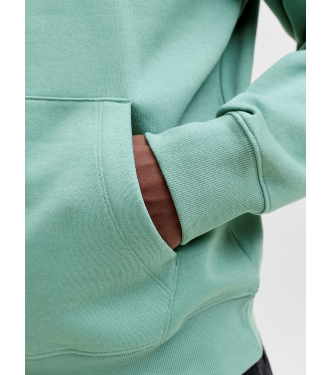 jack&jones 12233972 Groen licht