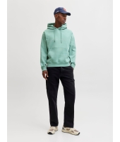 jack&jones 12233972 Groen licht
