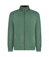 Cars jeans 68165 Groen donker