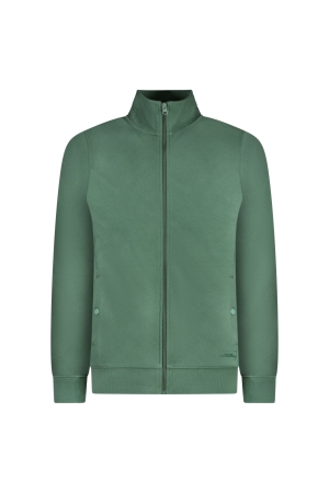 Cars jeans 68165 Groen donker