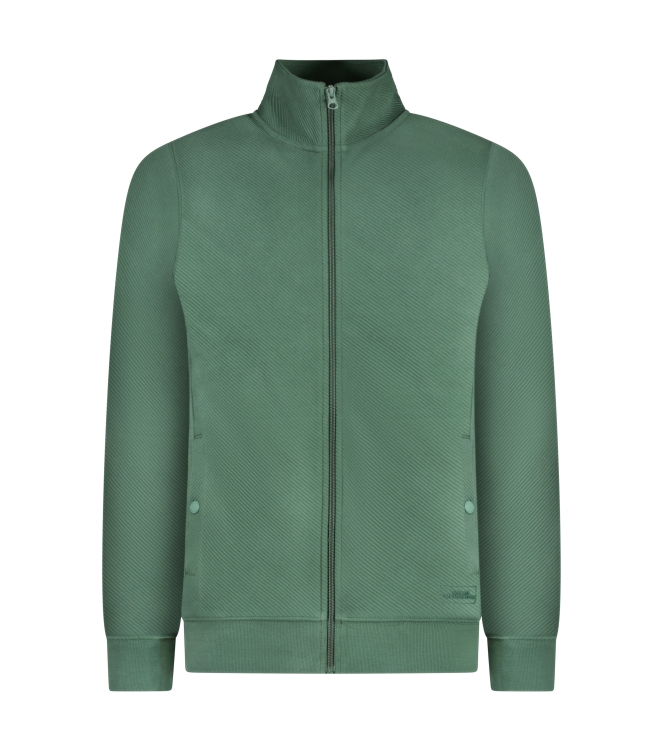 Cars jeans 68165 Groen donker