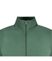 Cars jeans 68165 Groen donker