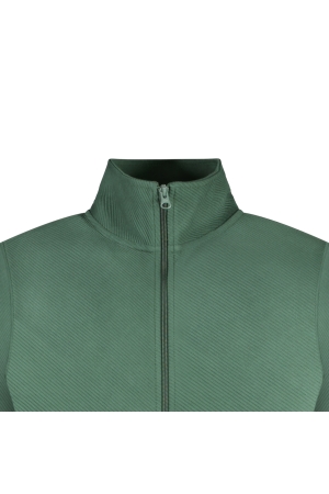 Cars jeans 68165 Groen donker