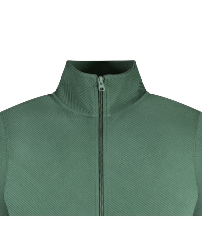 Cars jeans 68165 Groen donker