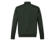 Stonecast Adelbert men Z10308 Groen donker