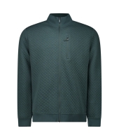 Cars jeans 66797 Groen midden