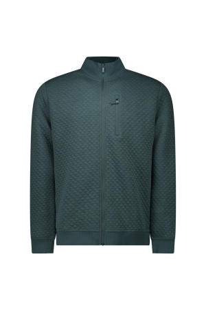 Cars jeans 66797 Groen midden