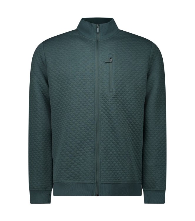 Cars jeans 66797 Groen midden