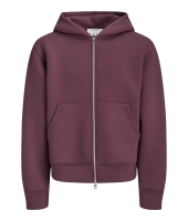jack&jones 12302694 Paars donker aubergine