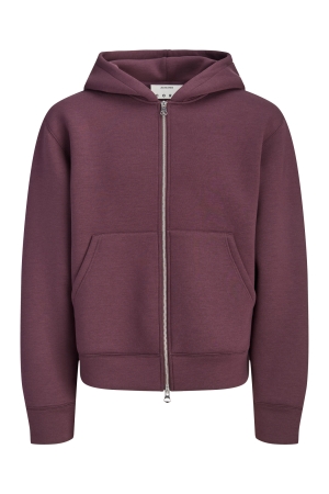 jack&jones 12302694 Paars donker aubergine
