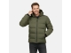 Cars jeans 62757 Groen donker
