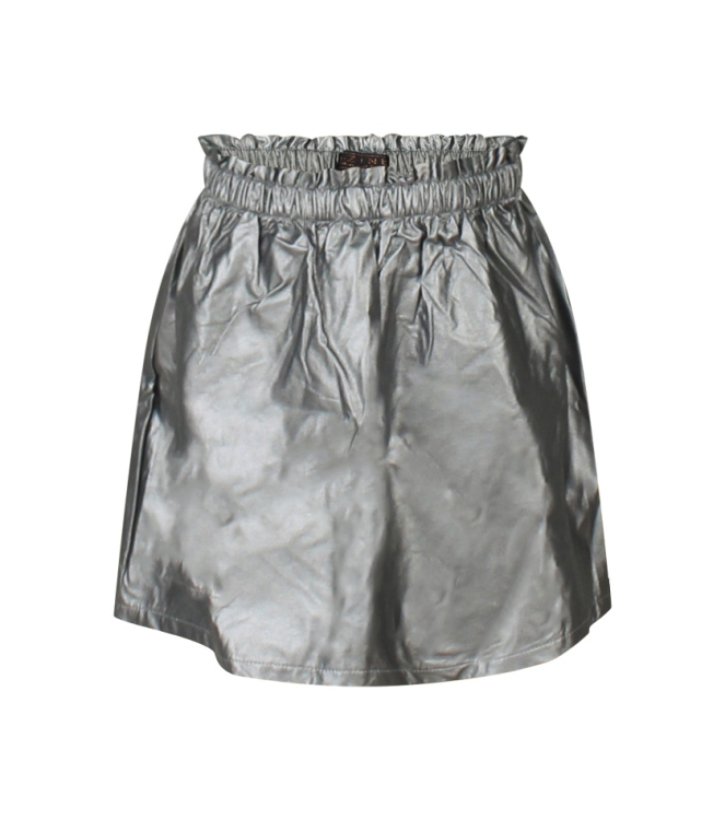 D Zine Reonie W90066 Grijs zilver