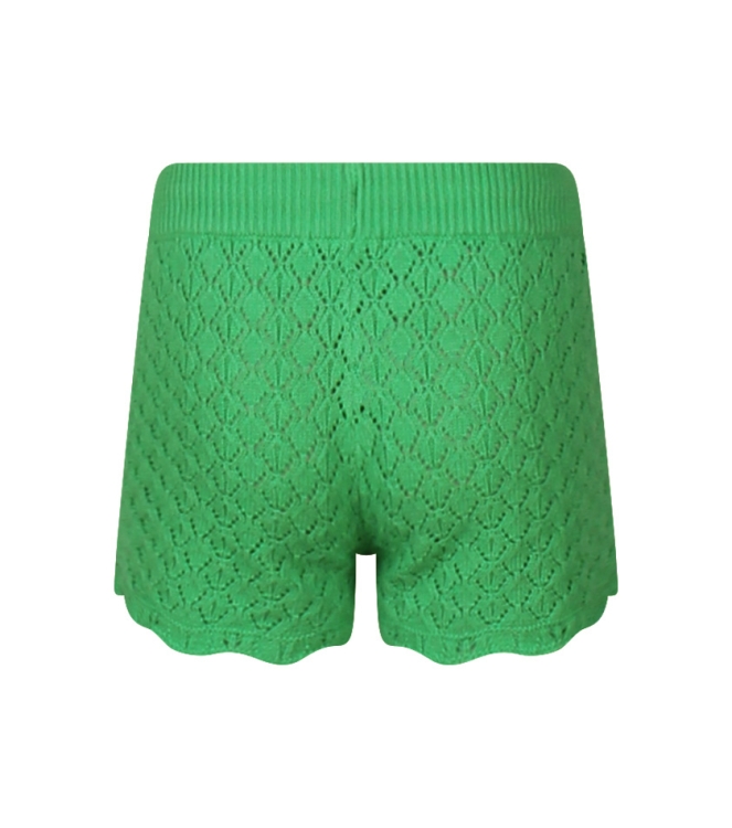 Persival 2810217 Z80108 Groen fel