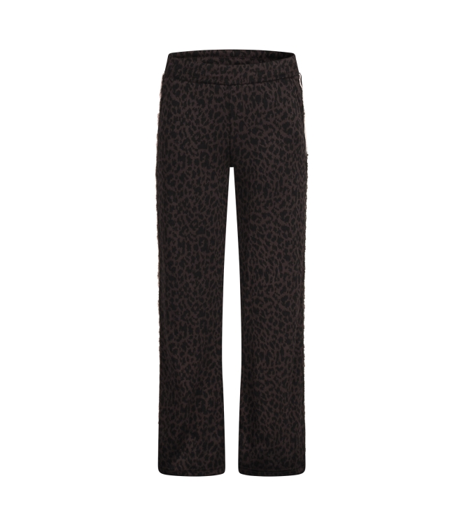 Persival Donna A W20231 Bruin donker