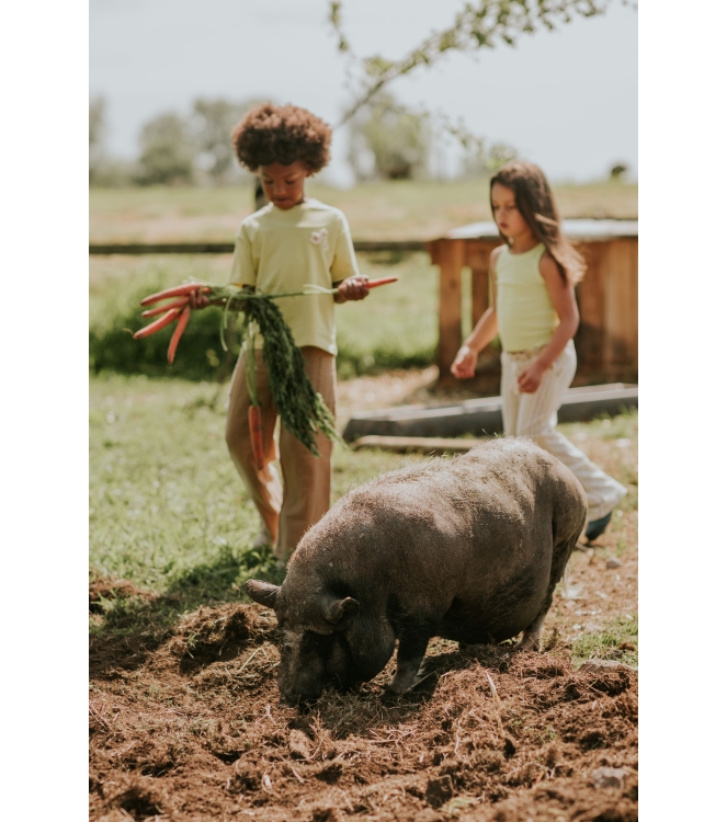 Koko Noko N58989-37 Geel fel