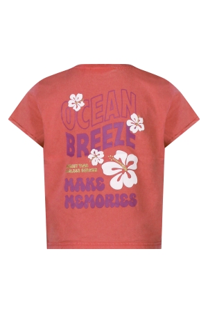 D Zine Marte Z10316 Paars mauve