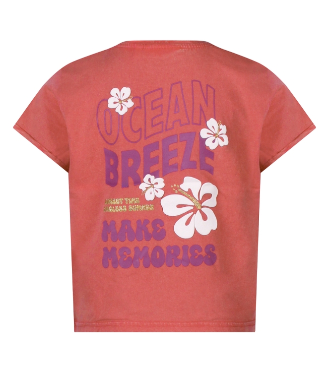 D Zine Marte Z10316 Paars mauve