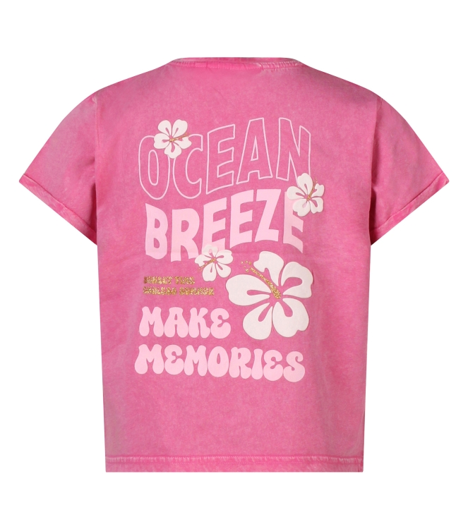 D Zine Marte Z10316 Rose