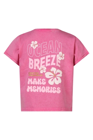 D Zine Marte Z10316 Rose