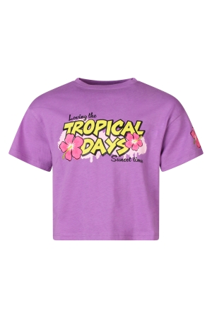 D Zine Real Z10318 Paars zacht lila