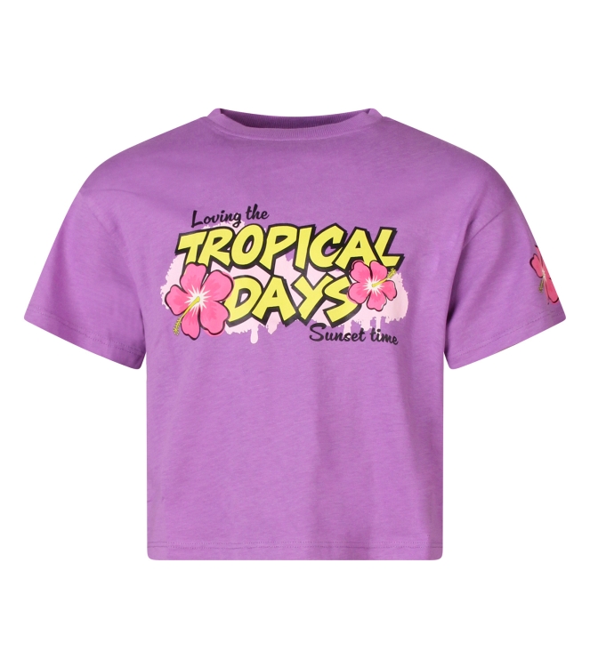 D Zine Real Z10318 Paars zacht lila