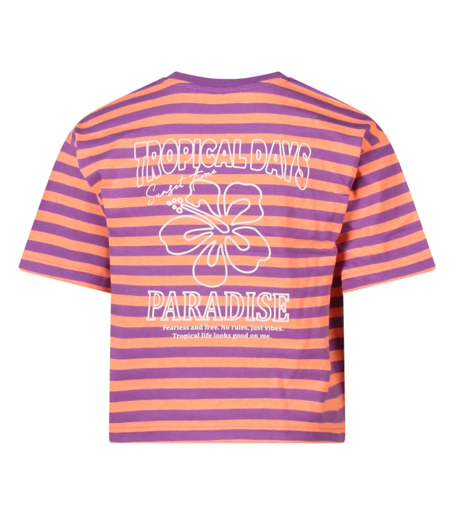 D Zine Tropical Z10320 Paars zacht lila