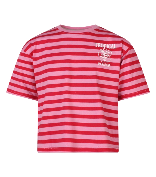 D Zine Tropical Z10320 Rood midden