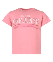 D Zine Emily Z10337 Rose