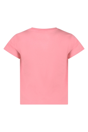 D Zine Emily Z10337 Rose