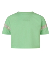 D Zine Alexa Z10177 Groen licht