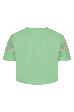 D Zine Alexa Z10177 Groen licht