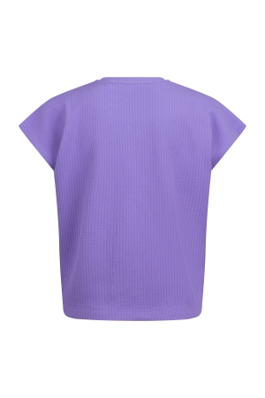 D Zine Agnetha Z10180 Paars licht