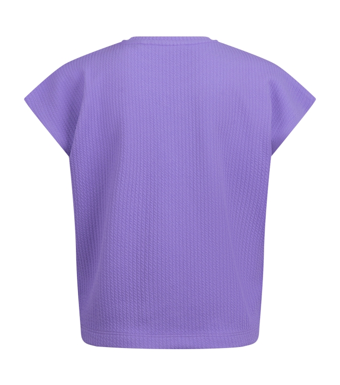 D Zine Agnetha Z10180 Paars licht