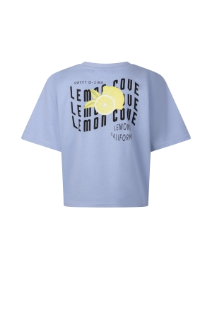 D Zine Abina Z10196 Paars lavendel lila