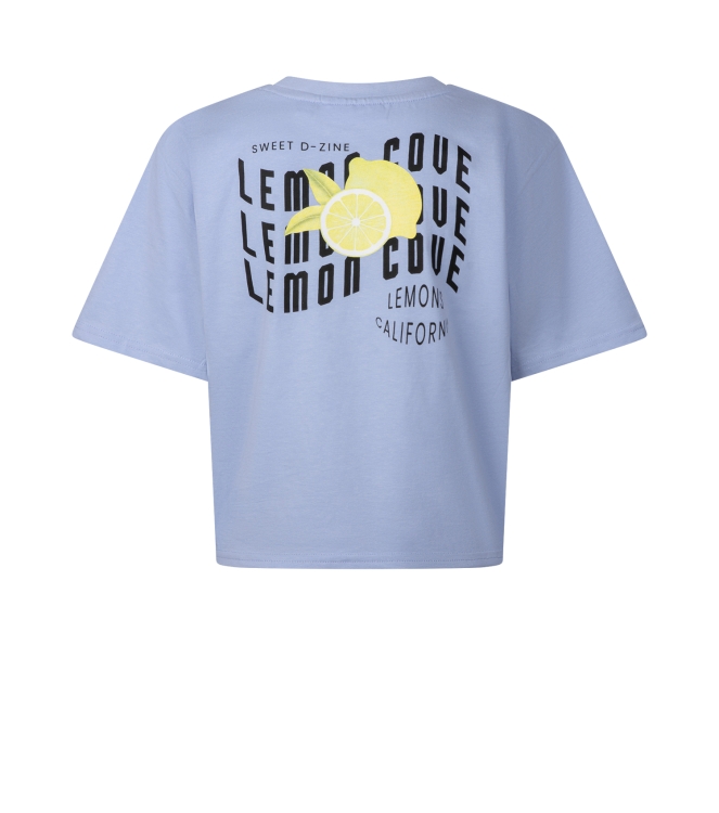 D Zine Abina Z10196 Paars lavendel lila