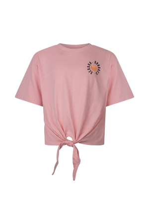 D Zine Abina Z10196 Rose