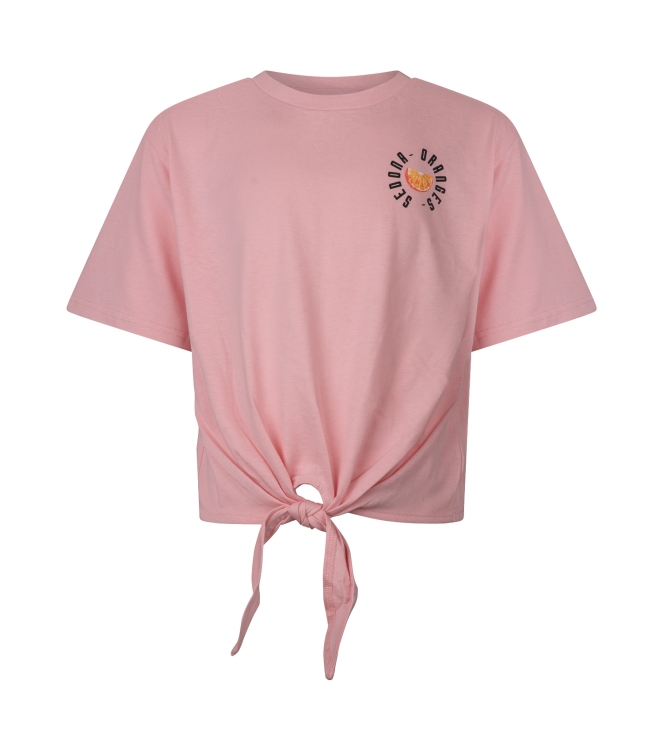 D Zine Abina Z10196 Rose