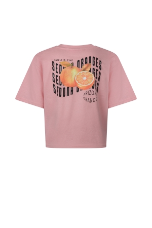 D Zine Abina Z10196 Rose