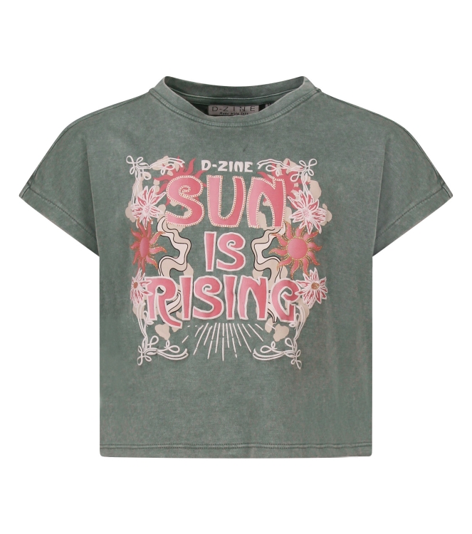 D Zine Asente Z10202 Groen army