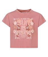 D Zine Asente Z10202 Rose oud