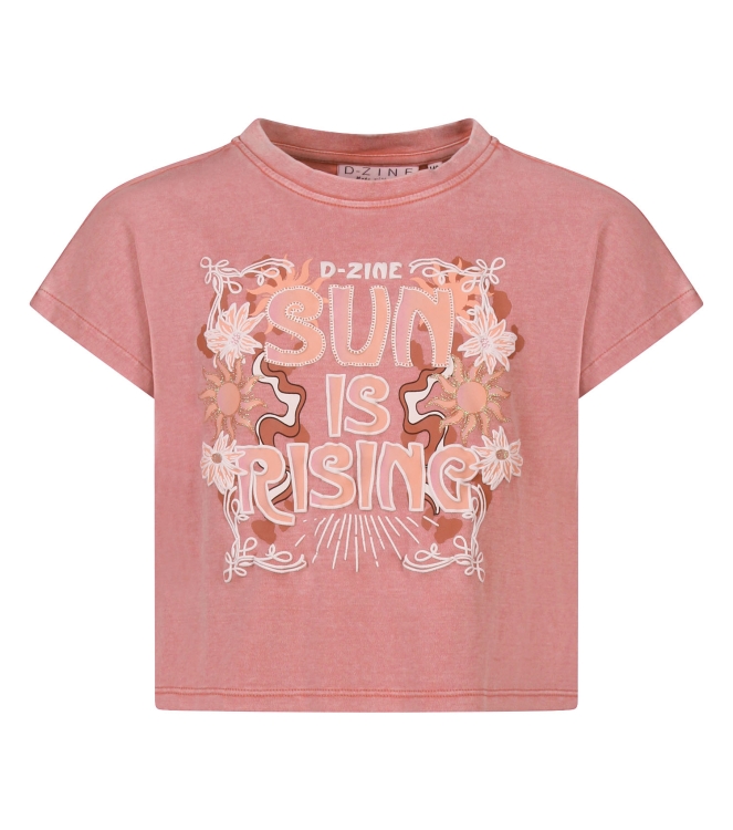 D Zine Asente Z10202 Rose oud